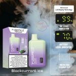 Nerd Fire Disposable Vape 8000 Puffs- Blackcurrant Ice