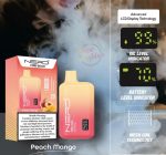 Nerd Fire Disposable Vape 8000 Puffs- Peach Mango