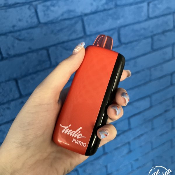 FUMMO Indic 12000 Puffs