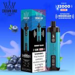 Al Fakher 12000 Puffs Berry Blue