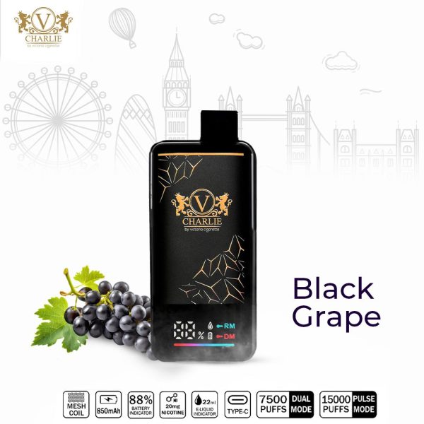 Vicig Charlie Disposable Vape 15000 Puffs Black Grape