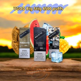 VGOD Big Stig 4000 Puffs Disposable