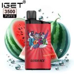 IGET Bar 3500 Puffs Disposable Vape In UAE - Image 2