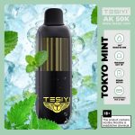 Tesiyi Ak 50K Puffs Disposable Vape in UAE - Image 15