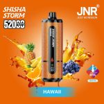 JNR Shisha Storm 52000 Puffs Disposable Vape 2mg DTL in the DUBAI - Image 4