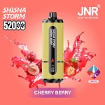 JNR Shisha Storm 52000 Puffs Disposable Vape 2mg DTL in the DUBAI - Image 12